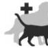 Как да погребеш котка: възможни варианти Как да погребеш животно