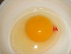Кръв вътре в кокошите яйца и върху черупката: причини и решение на проблема