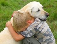 อัมพฤกษ์ของแขนขาหลังในสุนัข: การรักษาและป้องกัน