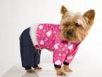 Викройки одягу для собак різних порід та розмірів Як пошити теплий одяг для собаки