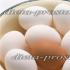 Hmotnost slepičího vejce bez skořápky