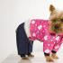 Викройки одягу для собак різних порід та розмірів Як пошити теплий одяг для собаки