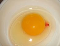 Sânge în interiorul ouălor de găină și pe coajă: cauze și soluție la problemă