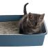 Jak nauczyć kota korzystania z kuwety: przydatne wskazówki Który żwirek jest najlepszy?