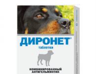 Proper deworming of dogs before vaccination Is it necessary to deworm before vaccination?
