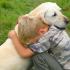 Пареза на задните крайници при кучета: лечение и профилактика
